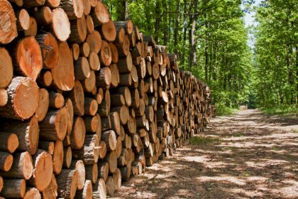 timber چوب های مناسب مبلمان فضای باز